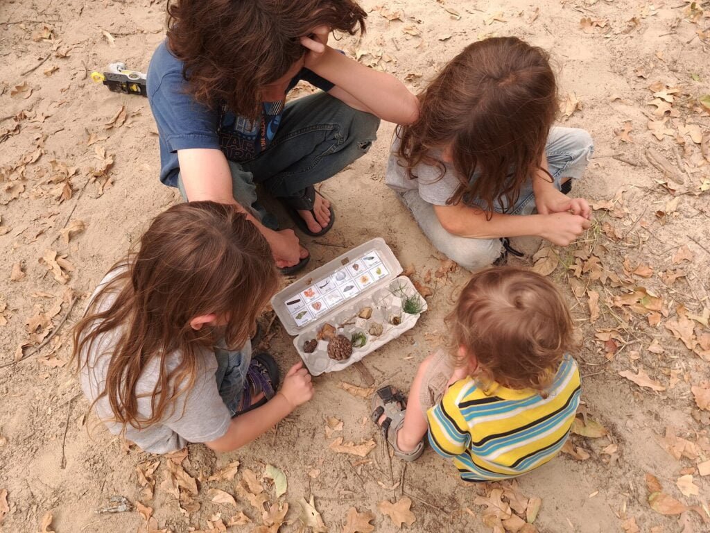 Egg Carton Nature Scavenger Hunt