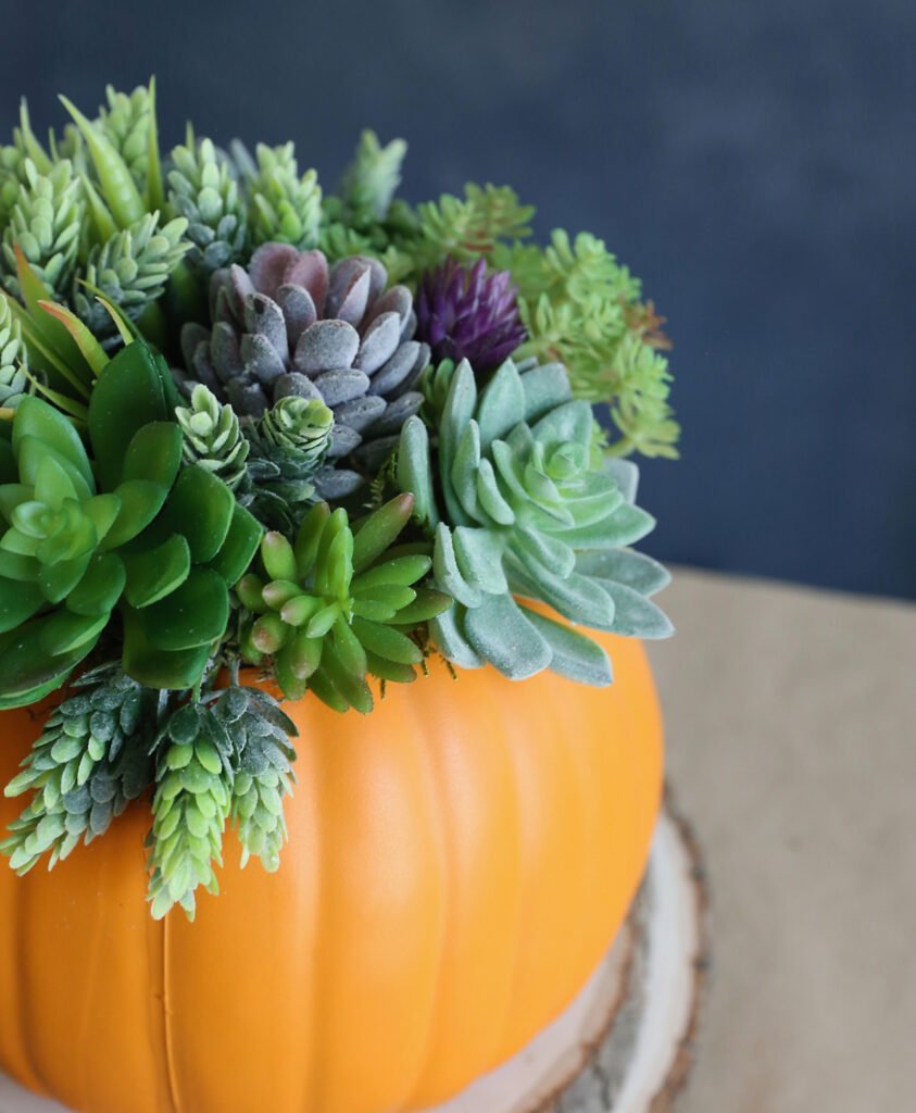 Pumpkin Succulent Planter