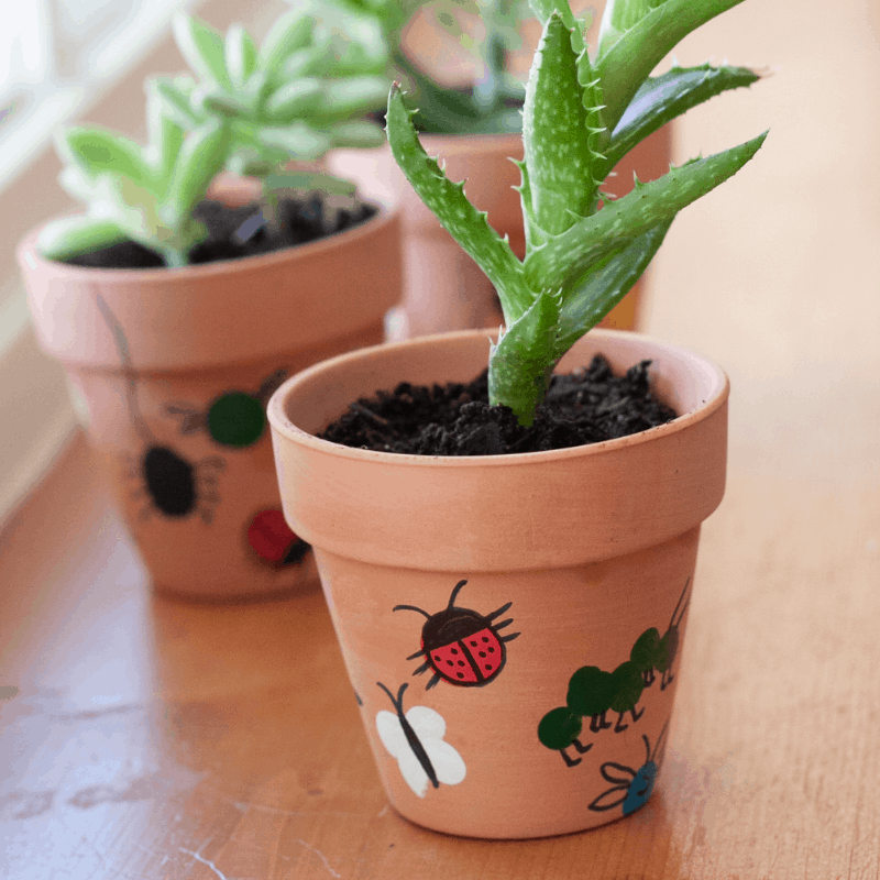 Fingerprint Flower Pot