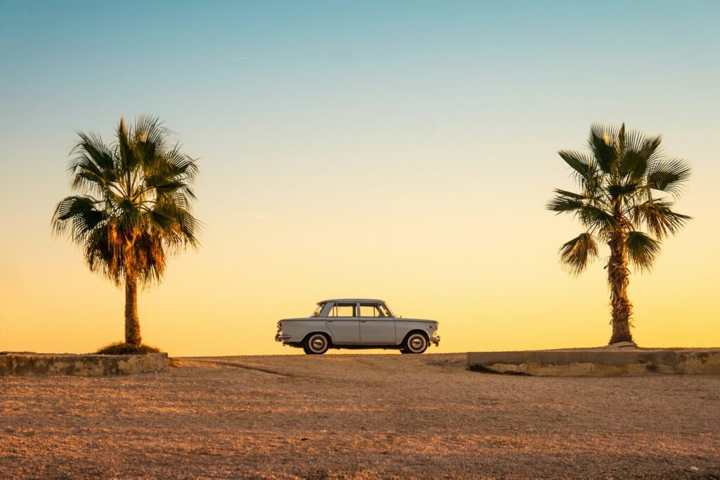 Car between two palmtrees at sunset